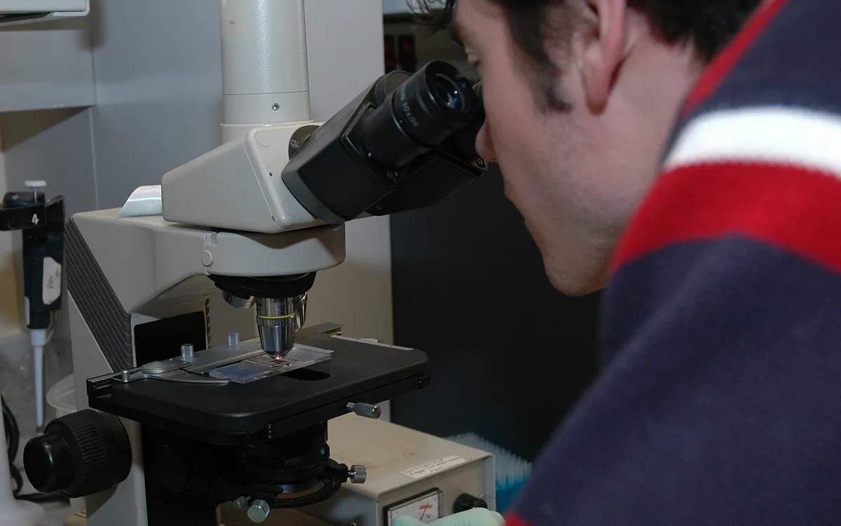 A scientist examining a slide under a microscope in a laboratory.